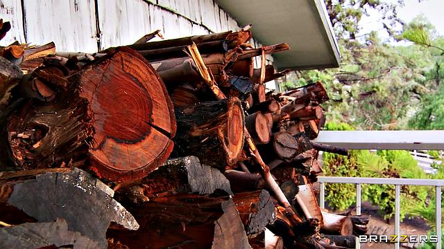 Best Kept Secret: Revised