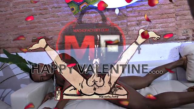 Chocolate for Valentine's Day. - Black Breeding Valentine