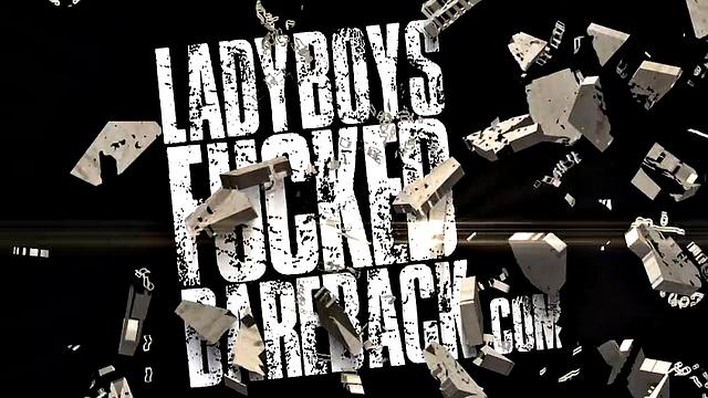 Amy 6: Flashlight Topping and Bareback