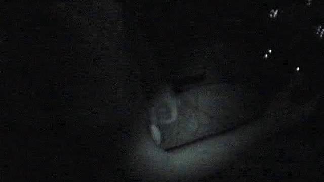 Sexy GF Sucks Dick While Driving