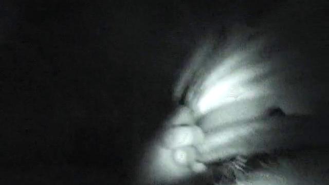 Sexy GF Sucks Dick While Driving