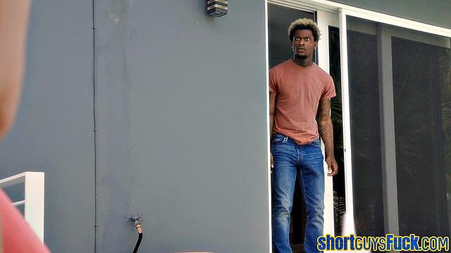 Shortie black cuntdrills cougar