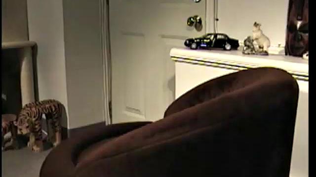 Quickie With Curious Cory and a Hot Babe