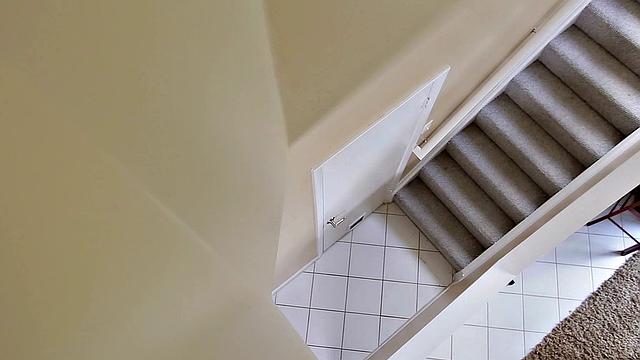 Small Stepsis Fucks Big Cock