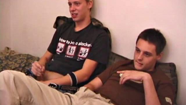 Roar had so much fun playing with Gunner last time, he had to come back for more