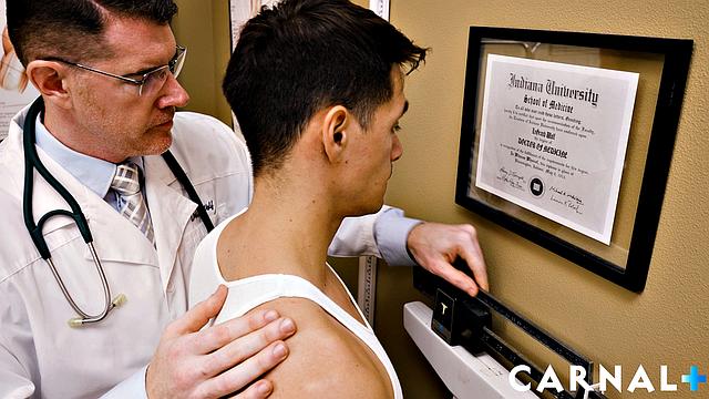 Pre-Season Checkup: Dr. Wolfs Exam Vol. 1
