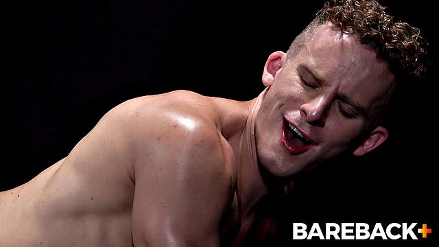 Stable Master LOADS Vol. 1