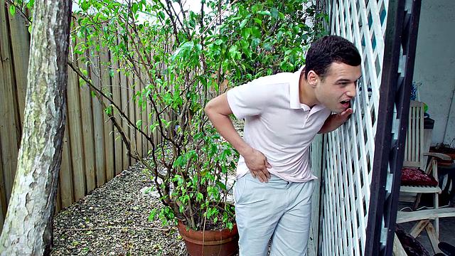 Outdoor voyeur stepsis