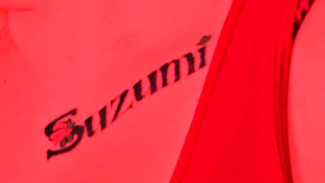 A Joystick For Suzumi