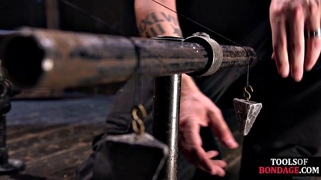 Frogtie hogtie sub gets clamped by domino master