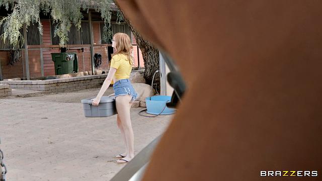 Welcome to Humper's Park 2