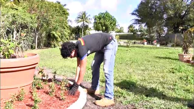 Hudson and Freddy Roman