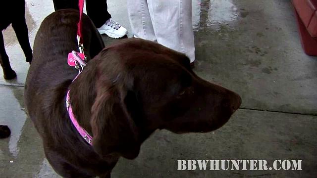 Pretty Mature Welcomes a Guy in Her Home