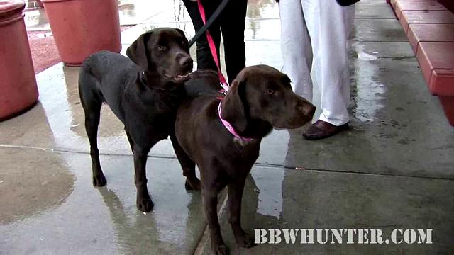 Pretty Mature Welcomes a Guy in Her Home