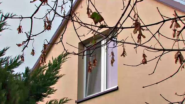 Йохан Коко и Джек Биттер: разговоры в стороне, когда такие члены в деле