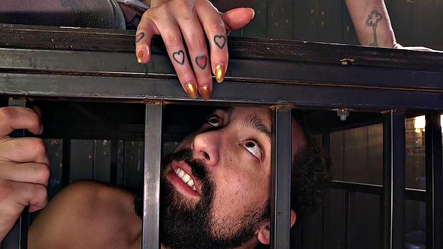 Busty tattooed domina strapon fucks bisex sub who sucks cock