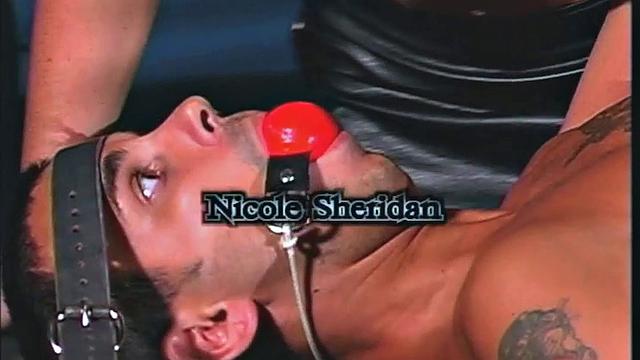 Desires Of A Dominatrix 4