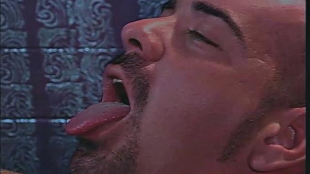 Desires Of A Dominatrix 4