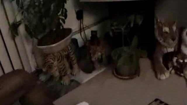 Straight Jedi Blows Vinnie