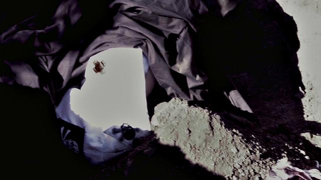 Nurse Kelly's Demise