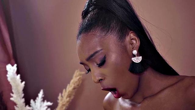 Hairy Ebony in lingerie gets laid after getting pussylicked