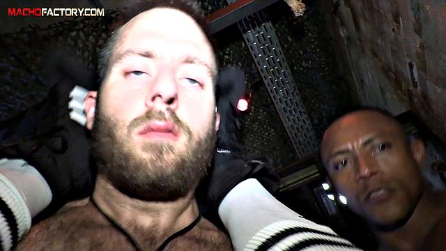 two hung studs stretch a hungry ass in intense euro threesome
