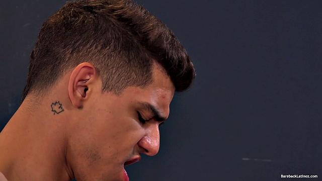 Феликс и Илхан: латинский красавец не оставляет шансов его заднице, лижет и трахается как последняя ночь перед налоговой проверкой.