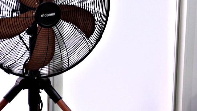 Shannon Blue's oil overload