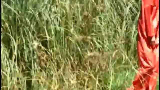 Карлос Вега и Мигель Торрес разогреваются