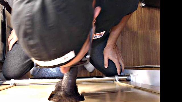 Chocolate Gloryhole Delight