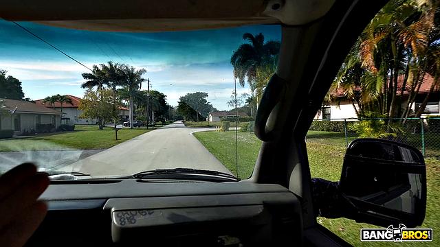 The Carpet matches Drapes