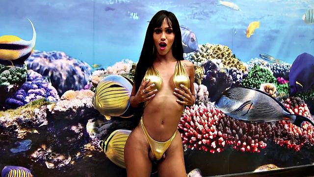 A young, big-assed Latina with braids jerk off in high heels and thongs solo