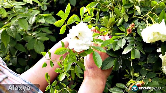 Pretty as a Painting