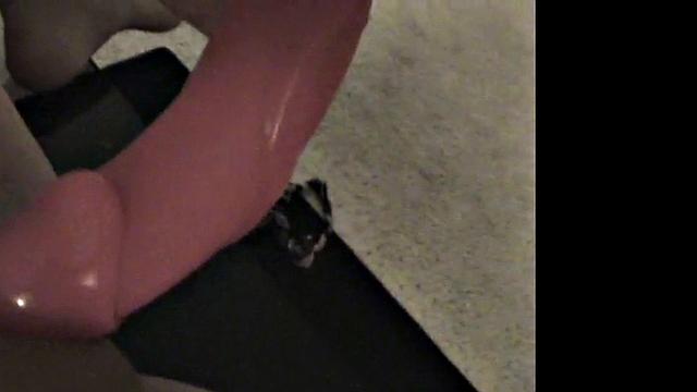 Pryce masturbates with dildo and sucks