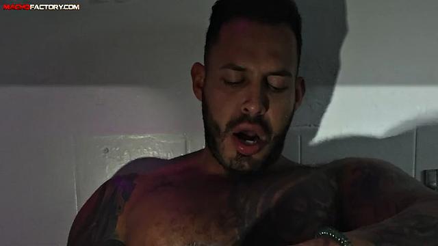 sweaty gay studs get wild and rough in the sauna