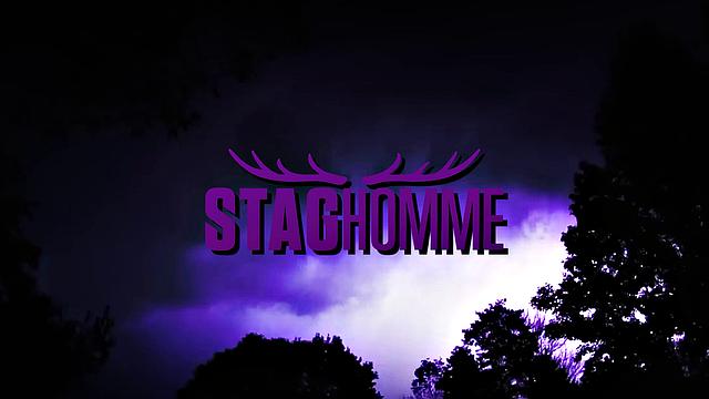 THE BUSINESSMAN Chapter 11 - The Job