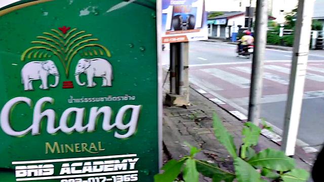 Busty Thai Cock-Hungry