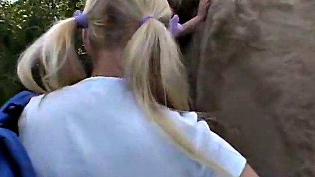 POV lesbian threesome