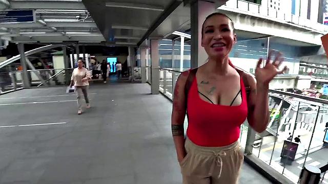 Macy Nihongo Returns