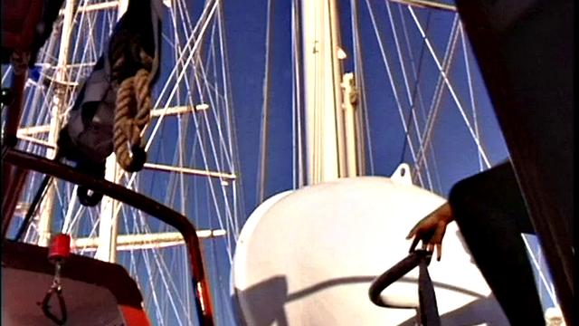 Sammie the Sailor on the Cruise