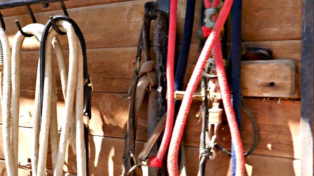 Lisa Ann & Brett Rossi Threeway