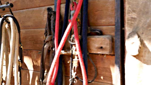 Lisa Ann & Brett Rossi Threeway