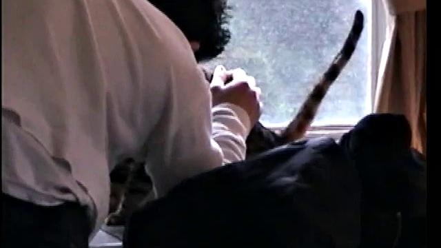 Straight Paulie Sucks a Cock