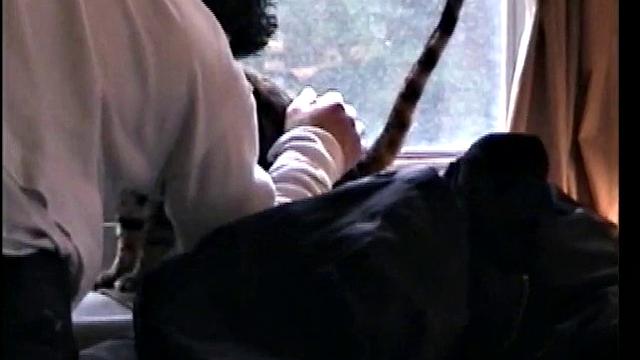 Straight Paulie Sucks a Cock