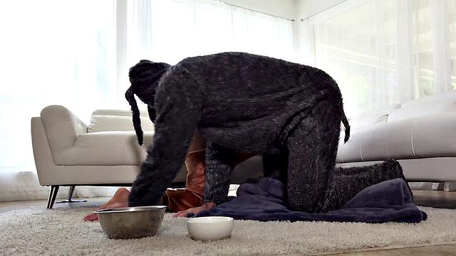 Abby Lee Brazil - Gone Good