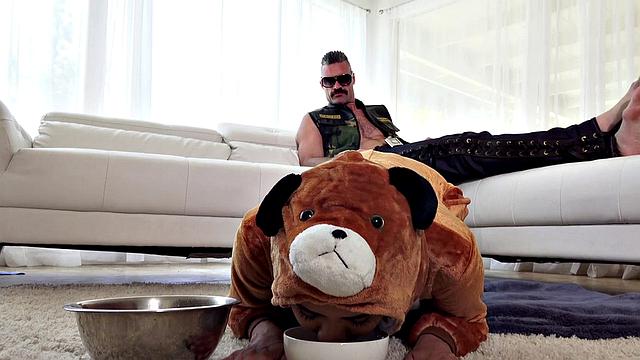 Abby Lee Brazil - Gone Good