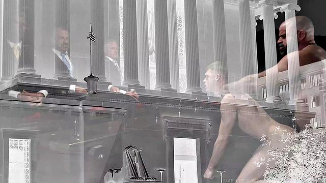 APPRENTICE WHITE - The Calling