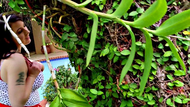 Kamille's Party Pool