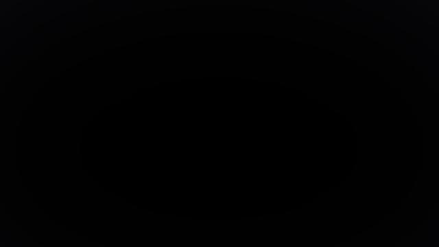 German Porn Officer Goes Hollywood