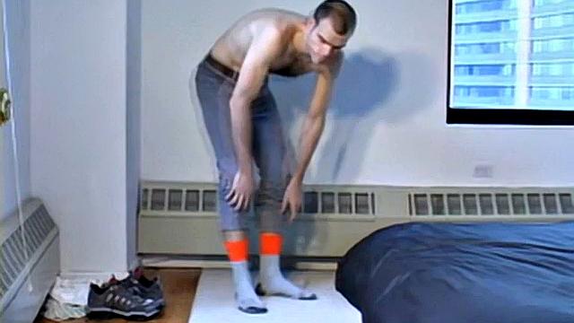 Playful Jay